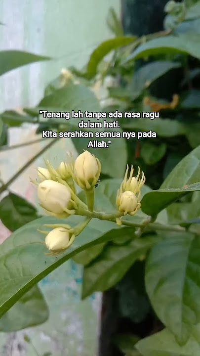 #quotes #kajianislam #motivasi #storywa #katakatabijak #katamutiara #semangat #beranda