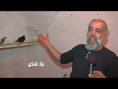  رضا ولد نسرية العشق المهبول نطق الحمام وغنى معاه فنان من نوع خاص