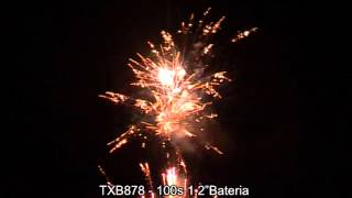 TXB878 100s 1.2 BATERIA