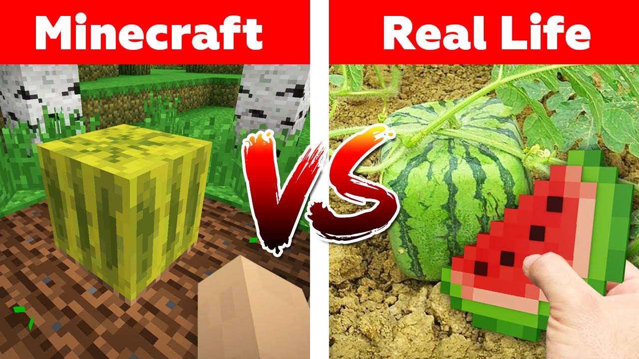 MINECRAFT WATERMELON IN REAL LIFE! Minecraft vs Real Life animation