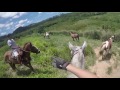 Como Pegar Cavalo em Pasto GRANDE - Parte 2