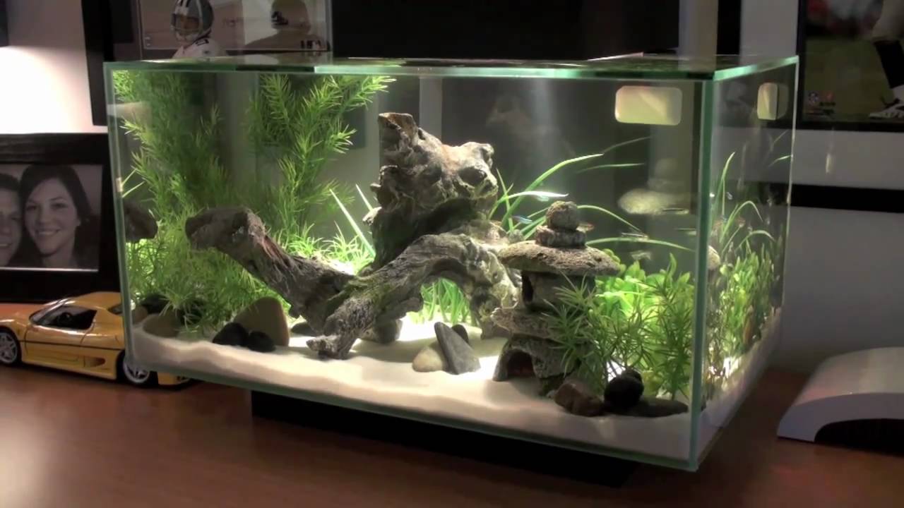 fluval freshwater tank