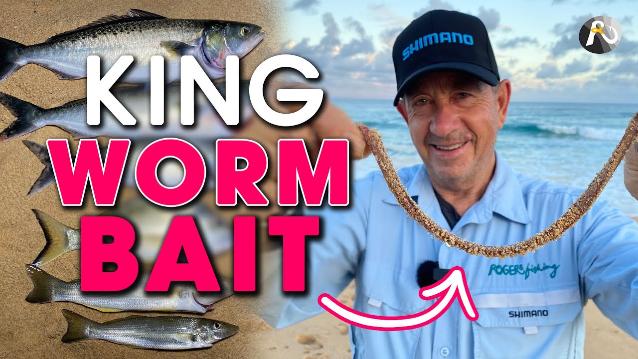 Beach Fishing With KING WORMS: You Will Catch Multiple Species