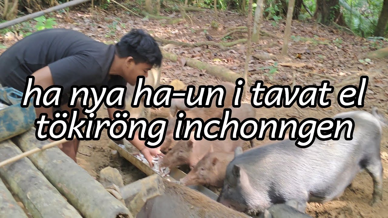 Jungle Nicobar. Hanyah Ha-Un Lata Tamaloo Village i tavat