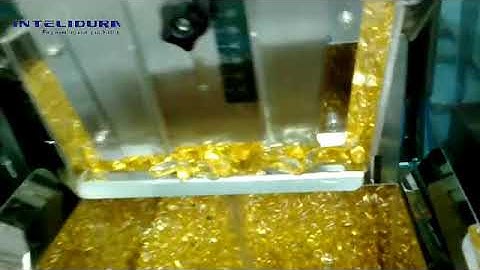 Intelidura 2 heads linear weigher