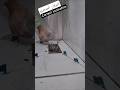 Correct Inclination طريقتي في عمل بلاطو حمام ديكور بناء رخام التحف Construction 