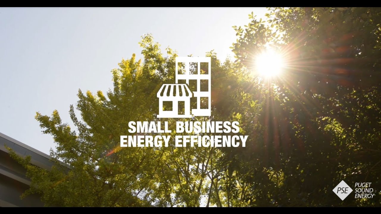 pse-s-small-business-energy-efficiency-program-can-save-energy-and