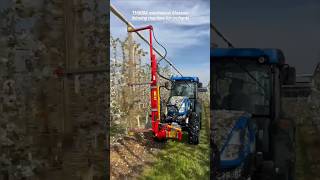 Th500A Mechanical Blossom Thinning Machine For Orchards || Made By Bmv Srl Italy || #Shorts