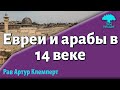 Евреи и арабы в 14 веке. Артур Клемперт