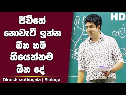 ජීවිතේ නොවැටී ඉන්න ඕන නම් තියෙන්නම ඕන දේ | Dinesh Muthugala