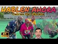 Ceky Viciny X German Gualey X Carvajal - HABLEN AHORA (Detras De Cámara Official )