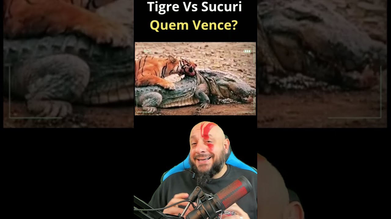 Sucuri VS tigre?