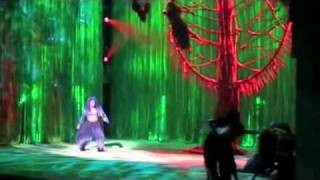 Tarzan: The Broadway Musical - Mensenkind (Son of Man) LIVE (DUTCH)