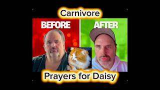 Carnivore : Down 380lb + Prayers for Daisy…