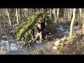 Solo Bushcraft Overnighter - Natural Shelter