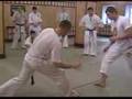 Kyokushin vs Capoiera