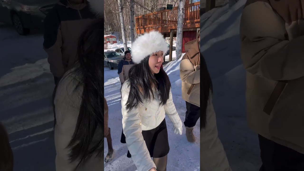 Alaska Vlog Day 3- Walk with Reindeer