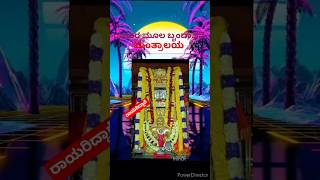 ರಾಯರ ಮೂಲ ಬೃಂದಾವನ#rayarmahime#rayarpavada#viralshortviralvideis#youtubeshortfeeds#goodmorning#kannada