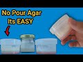 No pour agar  the easiest agar tek for mycology