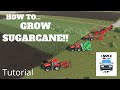How to Grow Sugarcane in Farming Simulator 19!!