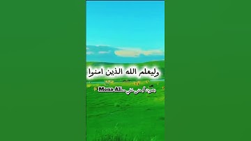 سورة آل عمران الاية 140 ولا تهنوا ولا تحزنوا وأنتم الأعلون إن كنتم مؤمنين ان يمسسكم قرح فقد مس القوم