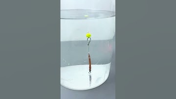 Lưỡi câu cá chép siêu thu hút, dễ dính cá🐠🎣 #fishinghook #fishing #shorts