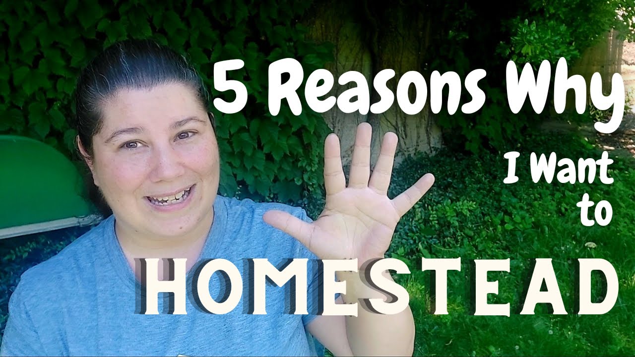 5 Reasons Why This CITY GIRL Wants to HOMESTEAD - My Future Homestead ...