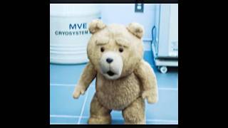 The Perfect Throw 💀 | Ted 2 | Song - MONTAGEM RITMADA (slowed) #edit #shorts