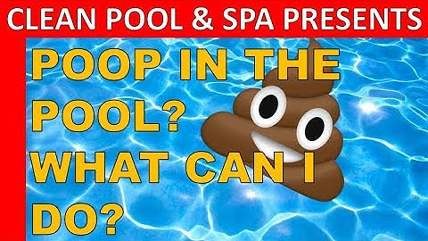Poop In The Pool | Holy Crap!! What Can I Do?