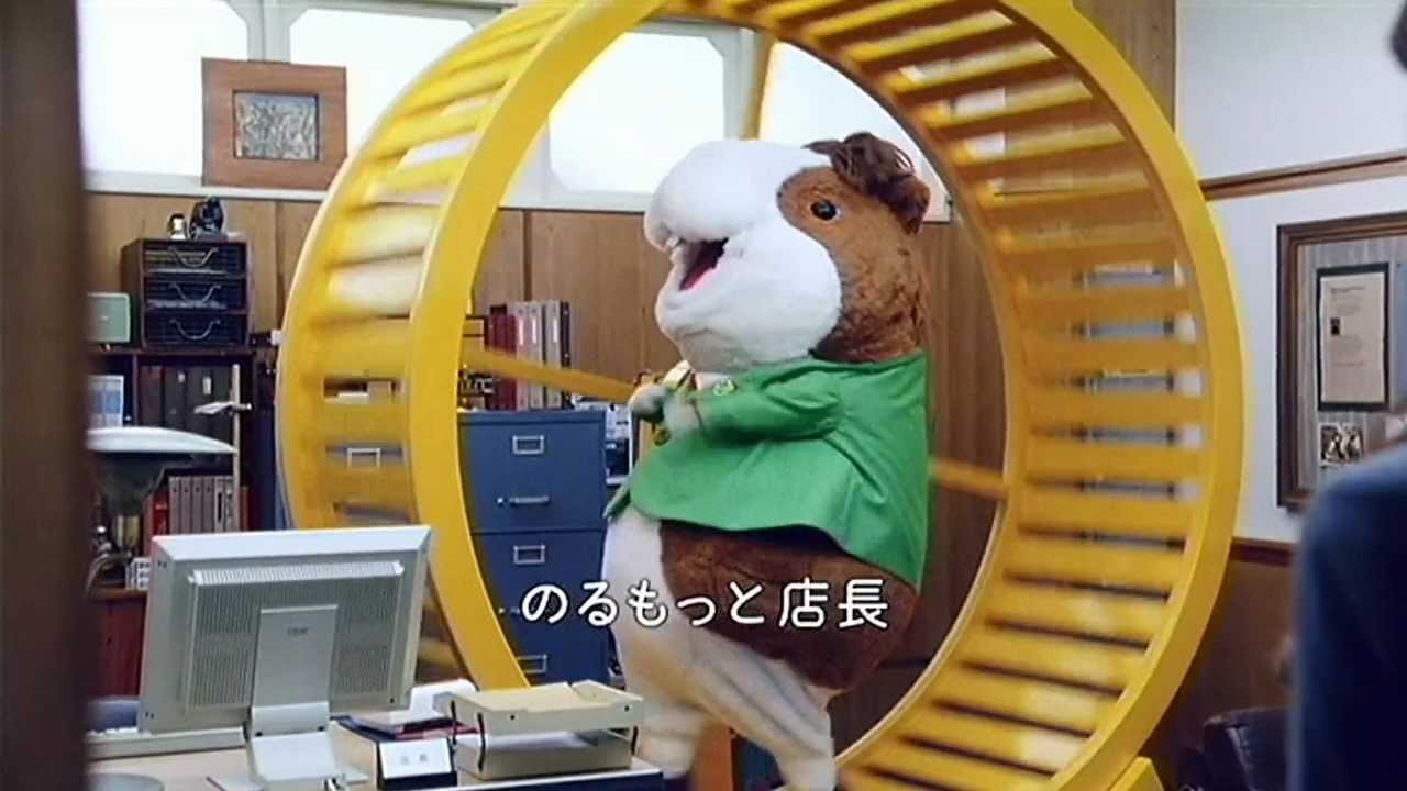 モルモットに回し車は必要 金物屋さんって何