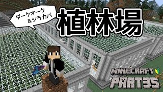 マインクラフト 植林場を作ろう ダークオーク シラカバ編 ちーのマイクラ実況 Part35 Youtube