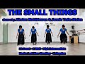 THE SMALL THINGS choreo by. Kirsten Matthiessen & Jannie Tofte Stoian | Demo | Fairy Line Dance