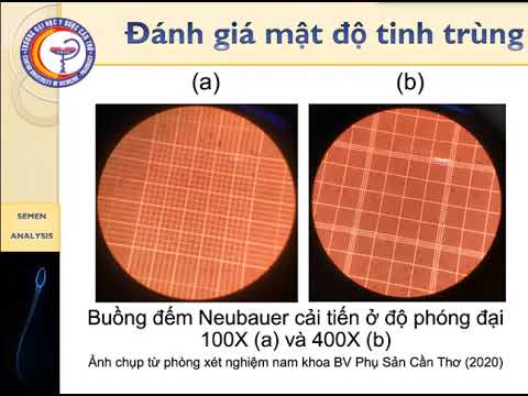 Video: Mục đích của Nigrosin là gì?