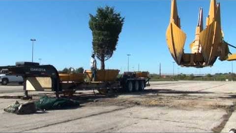Dakota 90 Loader Mount & Pod Trailer