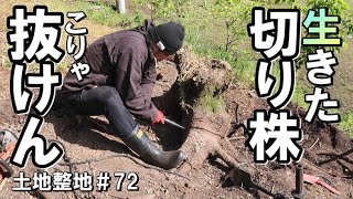 土地整地＃72｜電動ハンマ投入｜生きた切り株のしぶとさに完敗