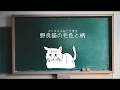 バーチャルねこと学ぶ「野良猫の毛色と柄」