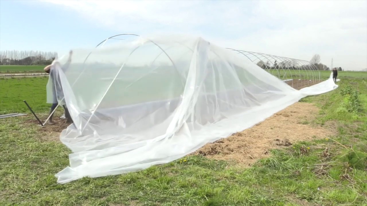 BÂCHE PLASTIQUE POUR SERRE DE QUALITE PROFESSIONNELLE - SERRES