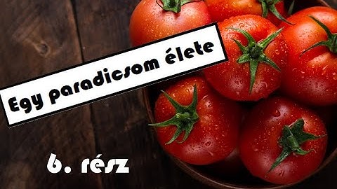 Egy paradicsom élete – 6. rész: Épül az üvegház!