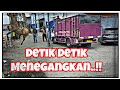 PROSES PENGIRIMAN KUDA || 2 ekor ke sumbawa