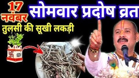 17 नवंबर मार्गशीर्ष सोमवार प्रदोष व्रत | तुलसी की सूखी लकड़ी वाला चमत्कारी उपाय | Pradeep Ji Mishra