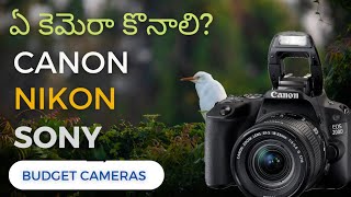 best cameras for beginners under 60000 #telugu #teluguphotographyvlogs #photography #wildlife