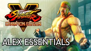 Street Fighter V - Champion Edition - Street Fighter V - Brian_F - Nexus