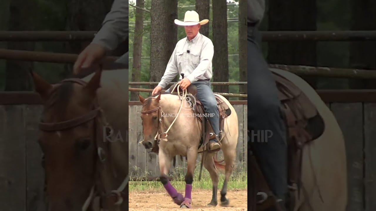 How To Get A Horse Soft Part 2 3