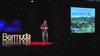 Lessons From Easter Island | Carl Lipo | Tedxbermuda