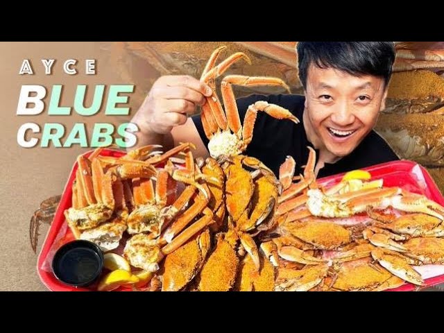 All You Can Eat MARYLAND BLUE CRABS Fresh SEAFOOD BUFFET | Strictly Dumpling