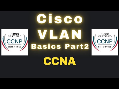 VLAN Basics Part2 | CCNA 200-301 | CCNP