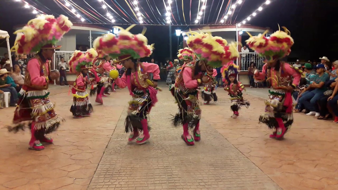 DANZA GUADALUPANA R7 S.L.P🎻