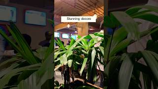 Olive Street Food Cafe