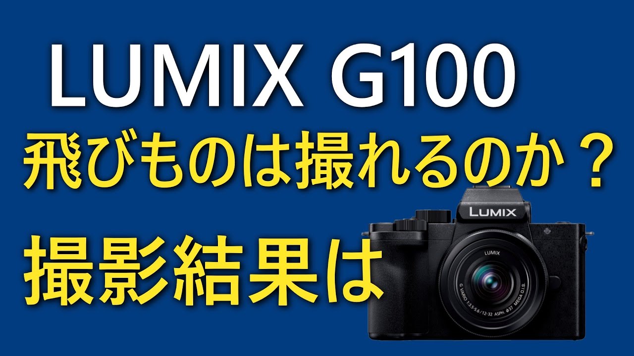 Can you capture flying wild birds with the LUMIX G100