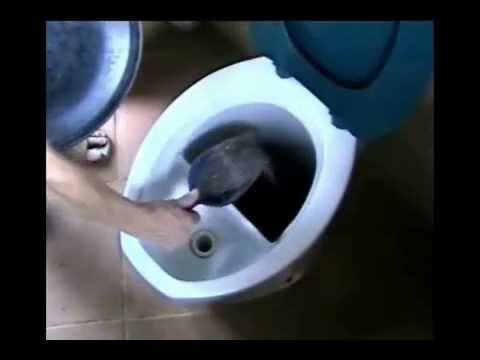 Ecosan mantenimiento del sanitario seco desviador de orina youtube Tasa de baño ecologica